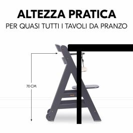 HAUCK HAU1731627400690 Trona Evolutiva BETA+ de Madera FSC con Arnés de 5 Puntos y Ruedas para Bebés de 6 Meses a 90 kg, Gris