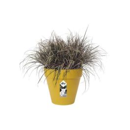 ELHO Maceta redonda Loft Urban 25 - Exterior - Ø 24.5 x H 22.2 cm - Amarillo ocre ELHO Maceta redonda Loft Urban 25 - Exterior - Ø 24.5 x H 22.2 cm - Amarillo ocre