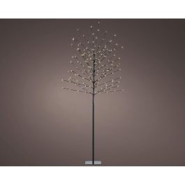 Lumineo Árbol Iluminado Exterior Interior 160 LEDs Luz Cálida Ø70cm x 1.80m Negro con Temporizador IP44 Cable 5m Precio: 38.78999971. SKU: B1C74VQKTM