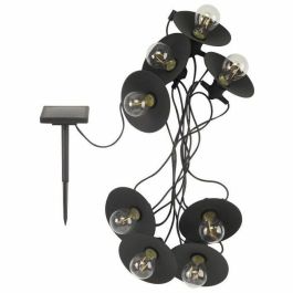 Smart Garden Vivo 365 20L Garland SMA5050642067119 Precio: 47.94999979. SKU: B1JHBETLTS