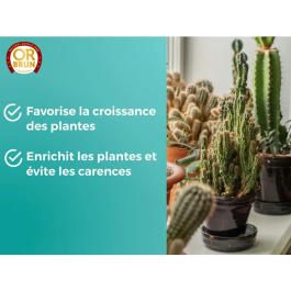Or Brun Cactus Fertilizante Oro Marron 250 Ml