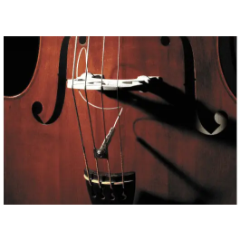 Fishman Full Circle Pastilla Dual Piezo / Ceramic para Contrabajo 1/4 20 Precio: 233.68999951. SKU: B1DZEN45TP