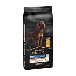Purina Pro Plan Canine Adult Athletic Balance Alimento para Perro Adulto Atlético 14 kg Precio: 58.949. SKU: B15JTBX5LC