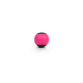 Play and Run Pelota Mega Squeaker M 6.35 cm Rosa-Gris 2 Piezas