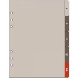 Finocam Separadores Laterales Para Agendas De Anillas Open R1063 1000-155x215 mm Juego 5 Ud Precio: 2.50000036. SKU: B1776KT4RZ