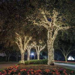 LUMI GARDEN Yogy Guirnalda de luz solar solar - Luz blanca cálida solar - 200 LED - 1700 cm LUMI GARDEN Yogy Guirnalda de luz solar solar - Luz blanca cálida solar - 200 LED - 1700 cm