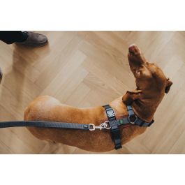 Correa para Perro Hunter DIVO & MALDON 2 x 100 cm Gris Precio: 15.49999957. SKU: S6102697