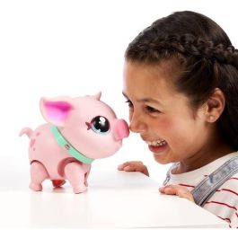 PEQUEÑAS MASCOTAS VIVAS Cerdo PEQUEÑAS MASCOTAS VIVAS Cerdo