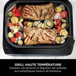 Ninja DG551EU Parrilla y Freidora sin Aceite Max 6 en 1, 1760W, 6 Modos de Cocción, Gris
