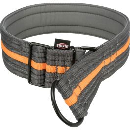 Collar de Adiestramiento para Perros Trixie Fusion Grafito Azul Océano L/XL 48-58 cm Precio: 14.49999991. SKU: B1HHCYETWE