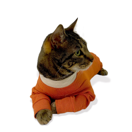 Luna & Milo Body De Cobre Copperbody Talla 0 para Perros de 1.5-2.5 kg Precio: 44.9999. SKU: B1FD3KVNEV