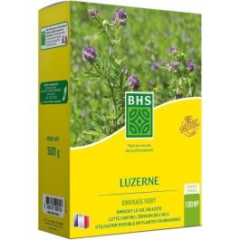 BHS AUC3366670500316 Alfalfa 500g para 100m², Mejora Suelo, Resiste Frío y Sequía, Rica en Proteínas y Vitaminas Precio: 28.9500002. SKU: B168MSWRRP