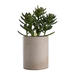 Planta artificial decorativa 7.5x7.5x18cm day