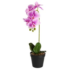 Planta Artificial Orquídea Day Precio: 9.0749998427. SKU: B1EBEX6XST