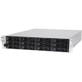 bluechip Serverline R42318s Servidor Rack 2U Intel Xeon 6505P 32GB RAM 2x480GB SSD Avago 9540-8i TPM