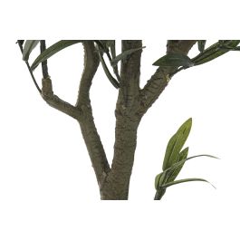 DKD Home Decor Árbol Neoclásico Verde 50 x 142 x 50 cm (2 Unidades) Poliéster, Polipropileno, Cemento