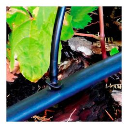 Blue Bird-Altadex Pack 10 Uniones 4mm Polipropileno Negro Anti UV para Riego