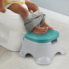 Orinal 3 En 1 Aprende A Ir Al Baño Hpy87 Fisher Price