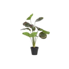 DKD Home Decor Planta Artificial Verde Rosa Polietileno (PE) 58 cm Alto (Pack 6 Unidades) Precio: 53.9781. SKU: B1CRBZYK5V