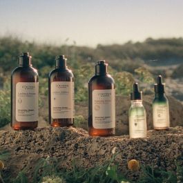 L'Occitane En Provence Aromacología Champú Suave Equilibrador para Cabello Brillo e Hidratación Profunda, Sin Sulfatos ni Silicona, 75 ml