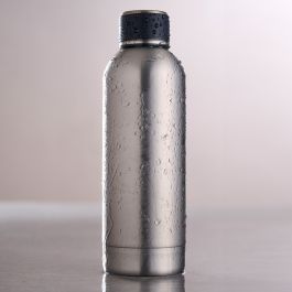 Botella para beber al vacío 0.5l metálica day