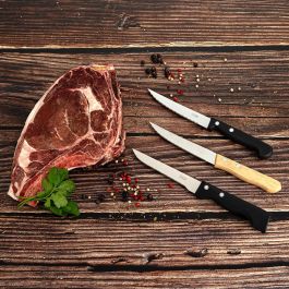 Cuchillo Chuletero Steak Remache Pradel 21 cm (12 Unidades)