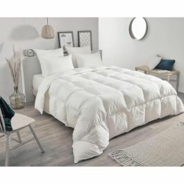 TOISON D'OR - Cálido edredón Daisy (300g/m²) - 220x240cm - Plumas y plumón - 2 personas - Blanco