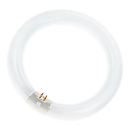 OSRAM FC040840/02 Ringform L 40W/840 C G10Q Neutralweiss T9, Tubo fluorescente 40W, 3200 lm Precio: 36.49999969. SKU: B168YLE668
