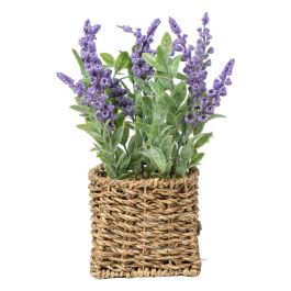 Planta Decorativa Romimex Plástico Fibra Lavanda 15 x 28 x 15 cm Precio: 20.69000054. SKU: B1A22R5C2T