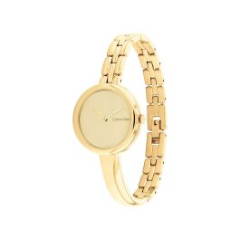 Reloj Hombre Calvin Klein 25200279 Dorado