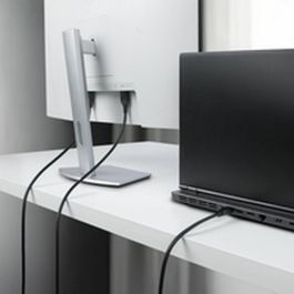 Cable VGA Startech DP14MDPMM10F Negro 3 m