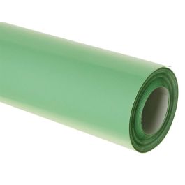 Papel Charol Verde Palido Rollo 25 Hojas De 50x65 cm