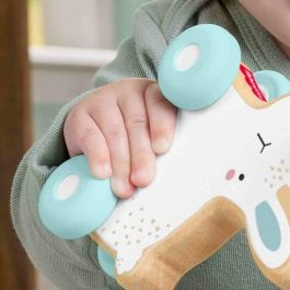 Fisher Price Matjdm52 Conejo de Madera para Empujar