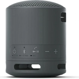 Sony Altavoz Portable Bluetooth SRS-XB100 Negro 2.0 Resistente al Agua IP67 Sonido Potente y Nítido Batería 16h