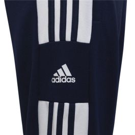 Pantalones Cortos Deportivos para Niños Adidas Sq21 Tr Y Azul oscuro M