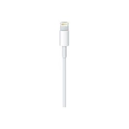 Apple Cable USB a Lightning 0.5M ME291ZM/A