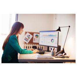 Philips 24E2N1110/00 23.8" IPS 120Hz 1920x1080 FHD VGA HDMI Negro