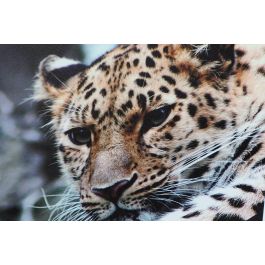 DKD Home Decor Cuadro Decorativo Set 3 Unidades Estilo Colonial con Detalles de Leopardo Multicolor 70x50x1.8 cm en Lienzo y MDF Surtidos