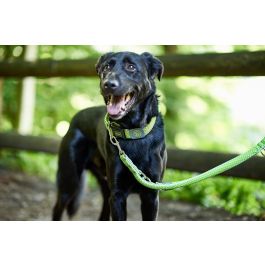 Hunter Correa HILO Ajustable 200 cm Lima Malla 3D y Nylon Precio: 22.79000031. SKU: S6102752