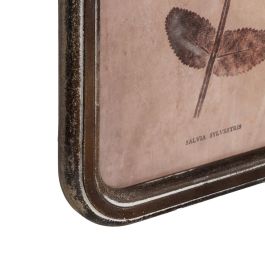 Cuadro Impresión Flores 4/M Dm-Cristal 30 X 2 X 60 cm