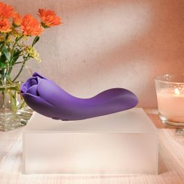 Vibrador Evolved Morado Vibrador Evolved Morado