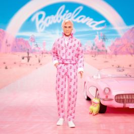 Barbie Ken JCP80 MATJCP80 Muñeca Mono Rosa