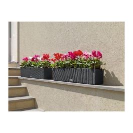 Lechuza LEC4008789156129 Jardinera Balconera Casita 80, Kit completo, Granito, 12L