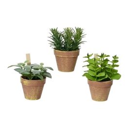 Everlands Planta Artificial Tomillo, Albahaca y Menta ø15 x 15 x 17 cm Modelos Variados Precio: 7.49999987. SKU: B13Z2VNBRD