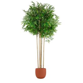 Árbol Home ESPRIT Poliéster Bambú 80 x 80 x 180 cm Precio: 121.69000008. SKU: B12NZ63ET8