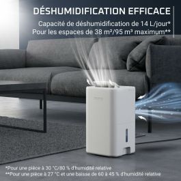 Deshumidificador Rowenta DH5250F0 300 W 3 L