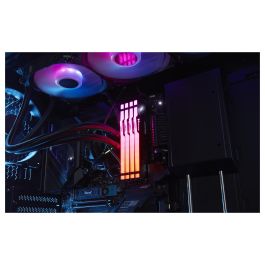 Memoria Ram Ddr5 16 grb 2 X