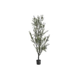 DKD Home Decor Árbol de Olivo Verde para Decoración del Hogar – Material PE, Dimensiones 210 cm Alto x 80 cm Ancho x 80 cm Fondo Precio: 178.79000051. SKU: B1JR4V45J5