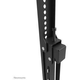 Soporte TV Neomounts WL30S-950BL19 55"