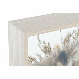 DKD Home Decor Decoración Shabby Beige y Marrón de Flor Seca y MDF 6x21x16 cm - Set de 2 Unidades DKD Home Decor Decoración Shabby Beige y Marrón de Flor Seca y MDF 6x21x16 cm - Set de 2 Unidades